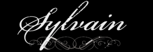 Syvlain logo